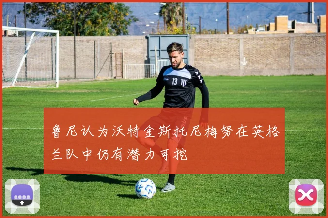鲁尼认为沃特金斯托尼梅努在英格兰队中仍有潜力可挖