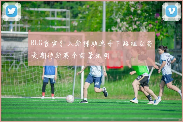 BLG官宣引入新辅助选手下路组合备受期待新赛季前景光明